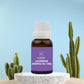 Lavender Oil
